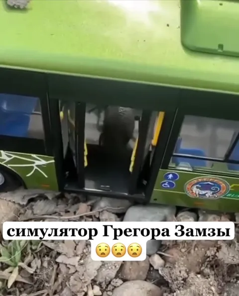 Симулятор Грегора Замзы