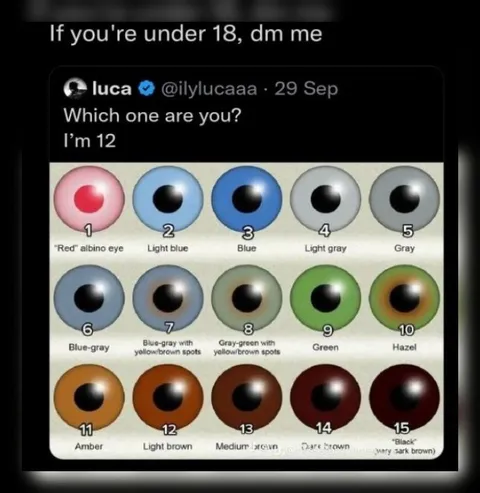 Under 18 Eye Color Meme