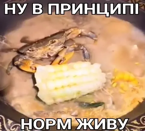 Норм живу с крабом
