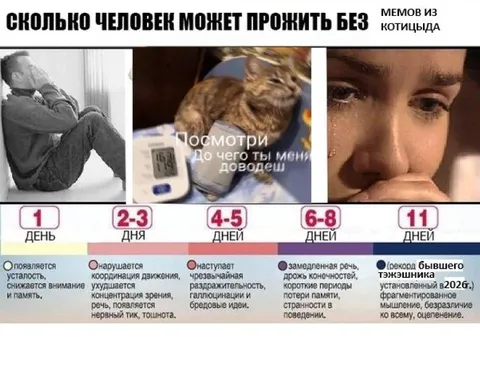 Сколько человек проживёт без сна