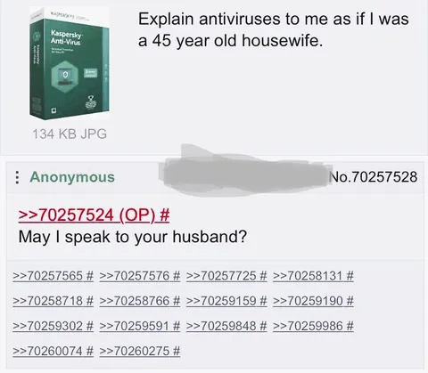 Explain Antivirus to a Housewife