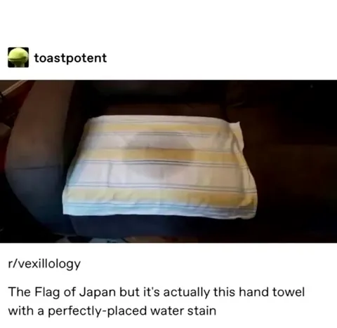 The Towel Was Not Pee