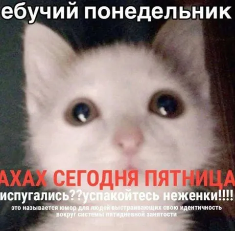 Ебучий понедельник и пятница
