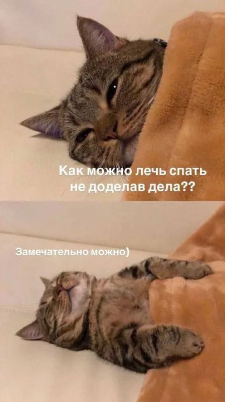 Можно спать, не доделав дела
