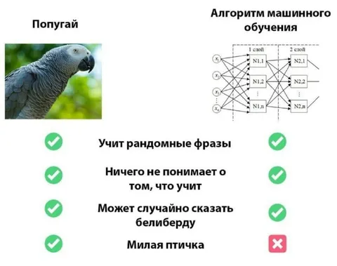 Попугай против алгоритма машинного обучения