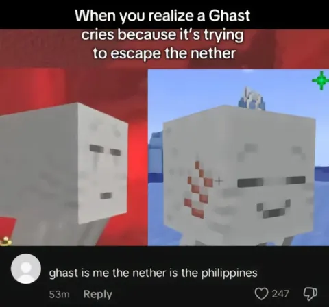 Ghast Escaping the Nether