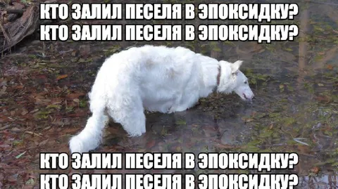 Кто залил песеля в эпоксидку