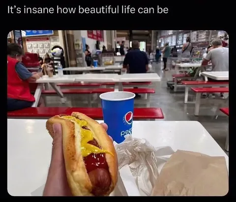 Beautiful Life at Costco