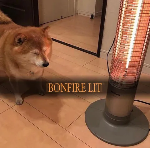 Bonfire Lit Doge