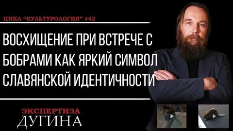 Восхищение бобрами как символ идентичности