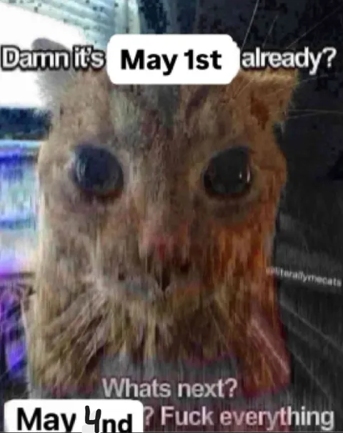 May 1st Already Reaction
