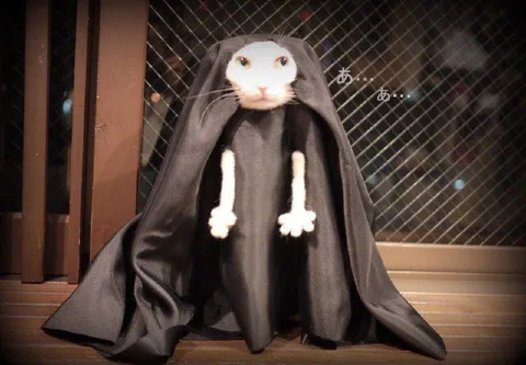 あ…と戸惑ううさぎ