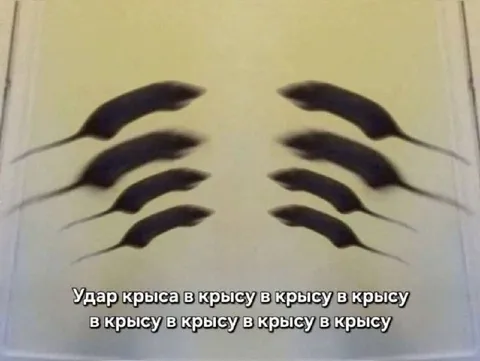Удар крыса в крысу