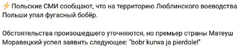 Фугасный бобёр в Польше
