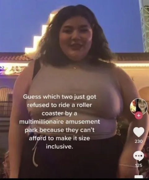 Size Inclusive Roller Coaster Joke
