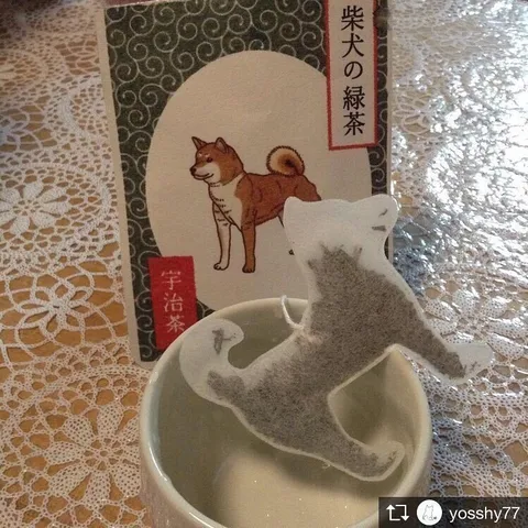 Кот заваривается в чае