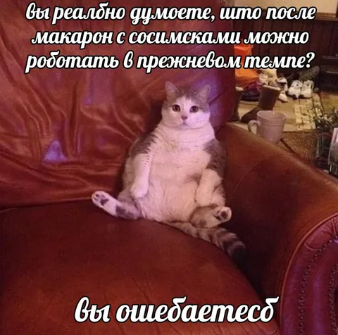 Макароны с сосисками и работа