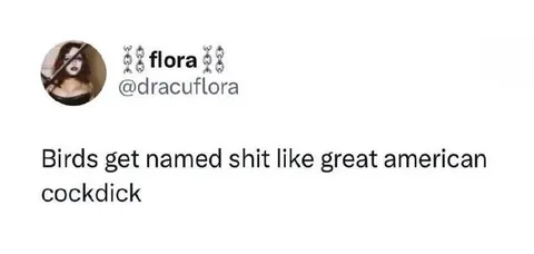 Great American Cockdick