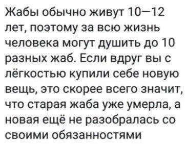 Новая жаба и её обязанности