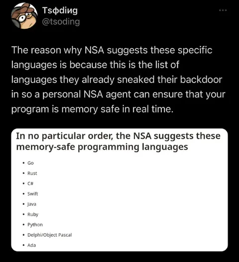 NSA Backdoors in Memory-Safe Languages