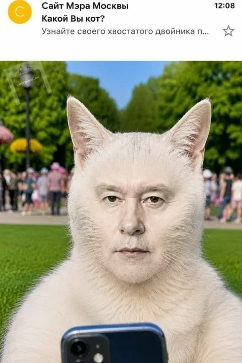 Какой Вы кот? Собянин-кот