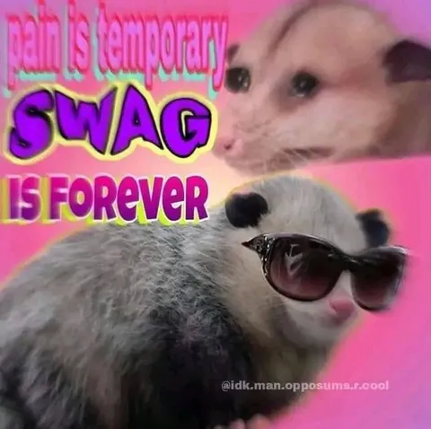 Ratty Is Temporary, Swag Forever