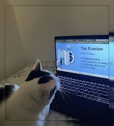 Cat Learning Tax Evasion