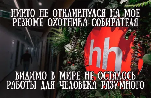 Резюме охотника-собирателя