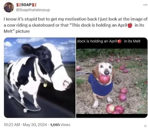 Cow Skateboard Motivation Meme