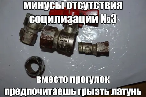 Минусы отсутствия социализации