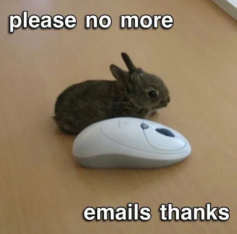 Rabbit Refuses More Emails