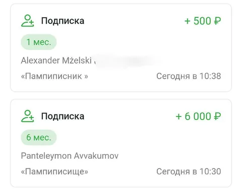Щедрые подписчики поддержали мечту