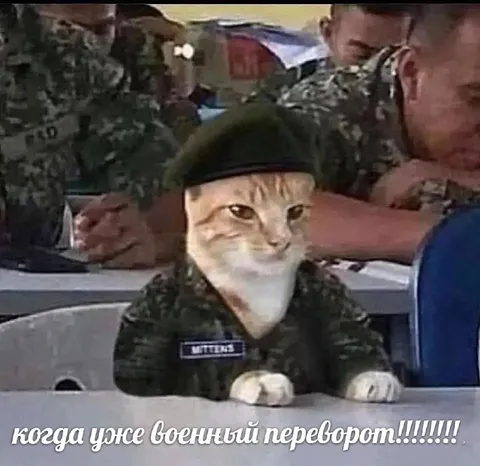 Когда уже военный переворот