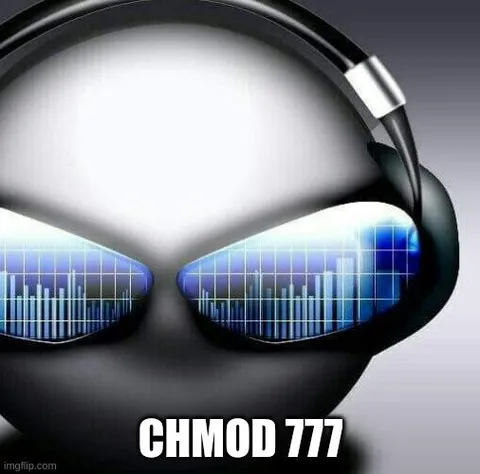 CHMOD 777 Hacker Alien