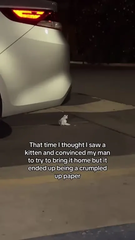 Kitten Turns Into Crumpled Paper