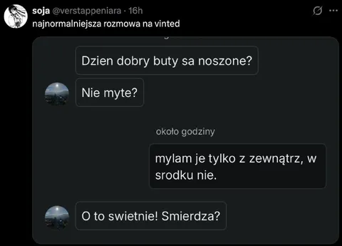Najnormalniejsza rozmowa na Vinted
