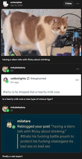 Hearty Milk Cow Cat Expert