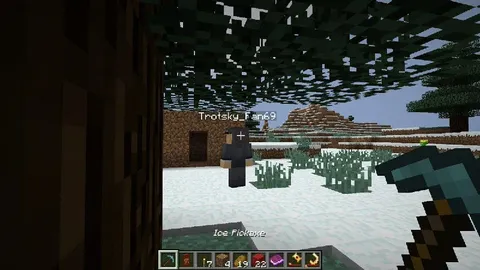 Trotsky Fan with an Ice Pickaxe