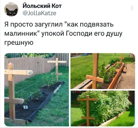 Как подвязать малинник