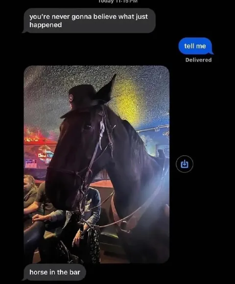 Horse in the Bar Text Message