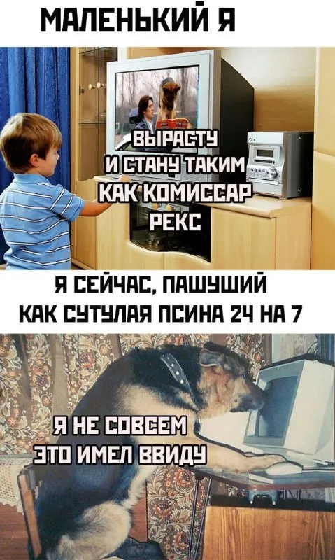 Маленький я и комиссар Рекс