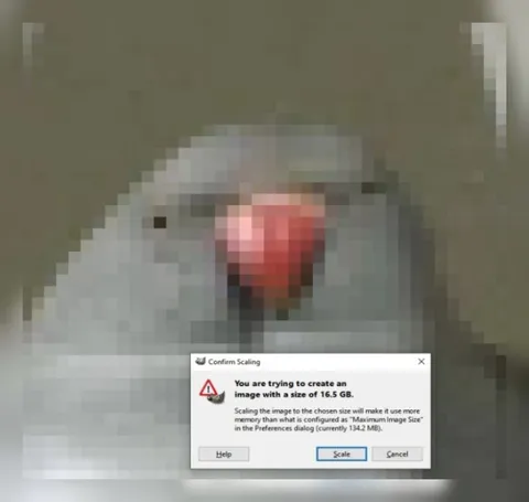 16.5 GB Image Scaling