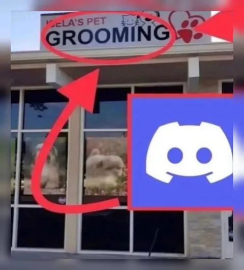 Discord Pet Grooming