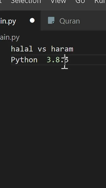 Halal vs Haram Python Code