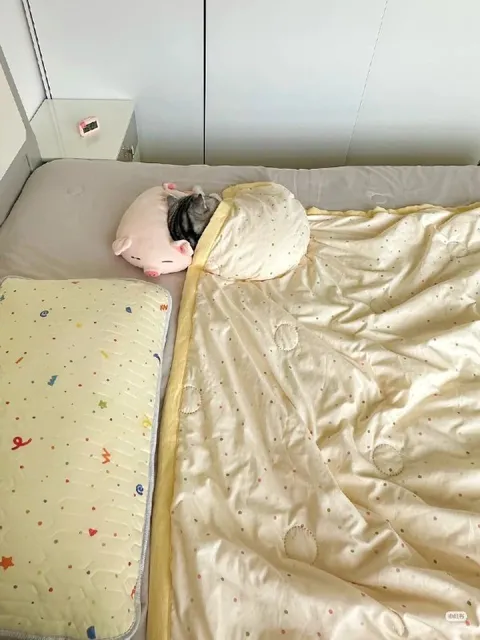 Кот спрятался под одеялом