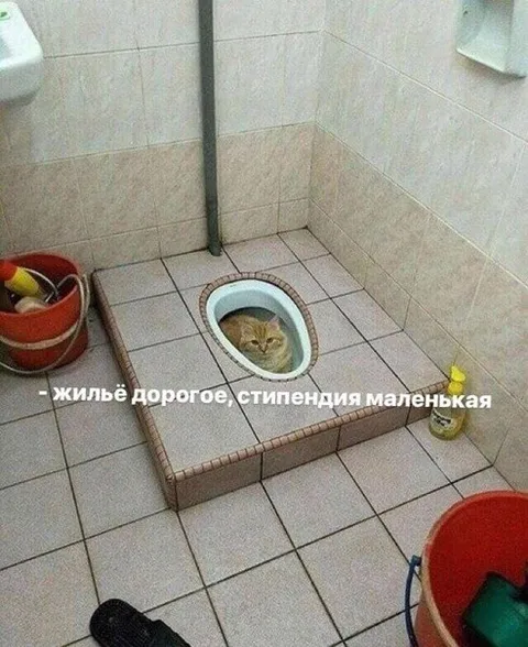 Дорогое жильё и маленькая стипендия