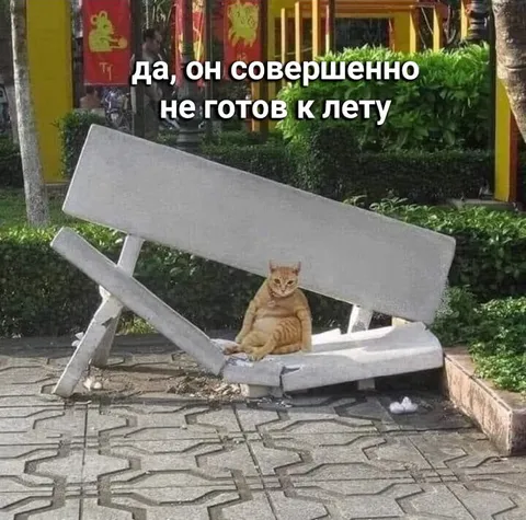 Кот совершенно не готов к лету
