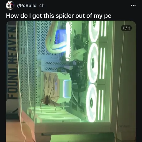 Spider Inside the PC