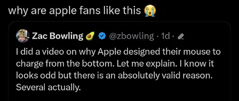 Apple Mouse Charging Explanation