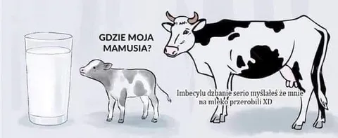 Gdzie moja mamusia?